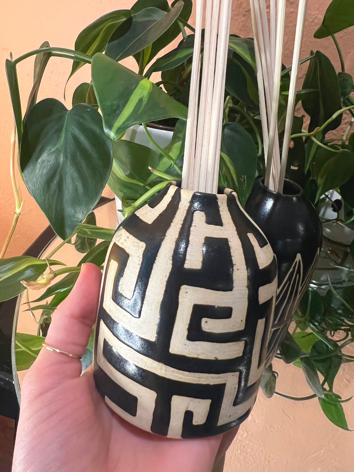 Oil Diffuser with Reeds