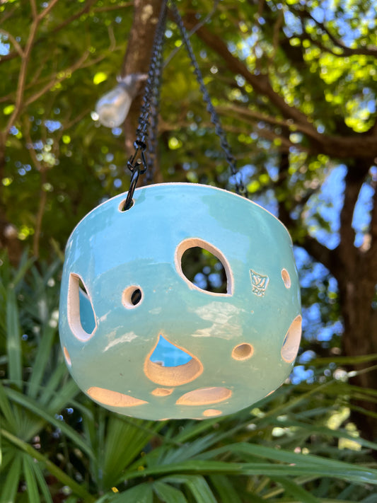 Orchid Hanging Planter - Tiffany Blue