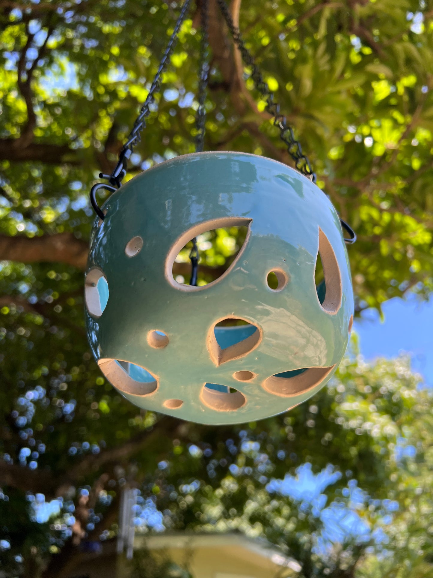 Orchid Hanging Planter - Tiffany Blue