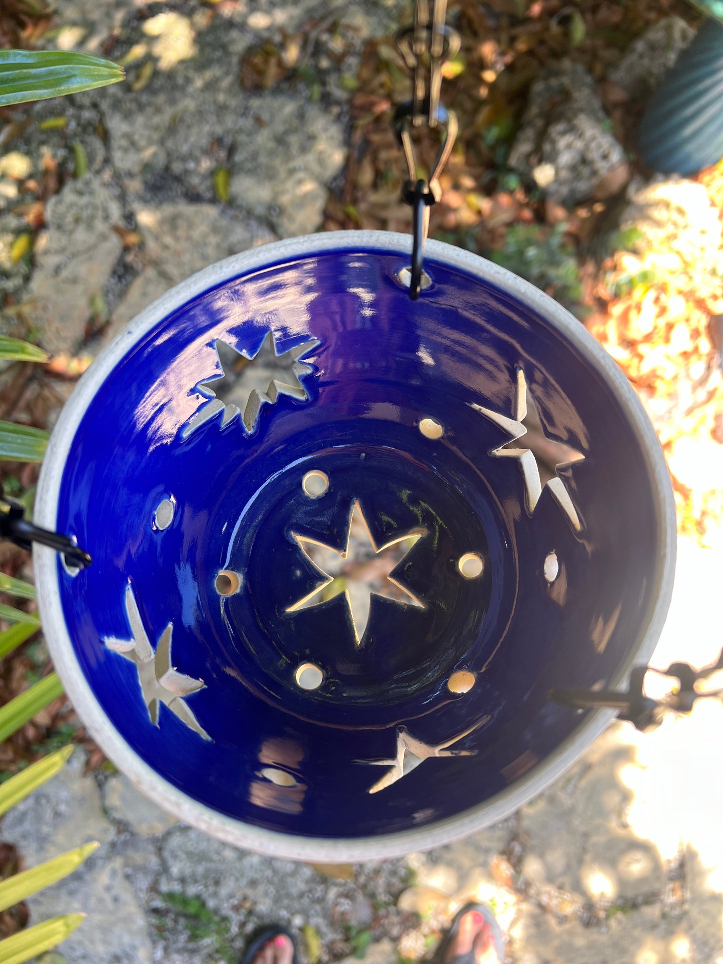 Orchid Hanging Planter - Cobalt Star