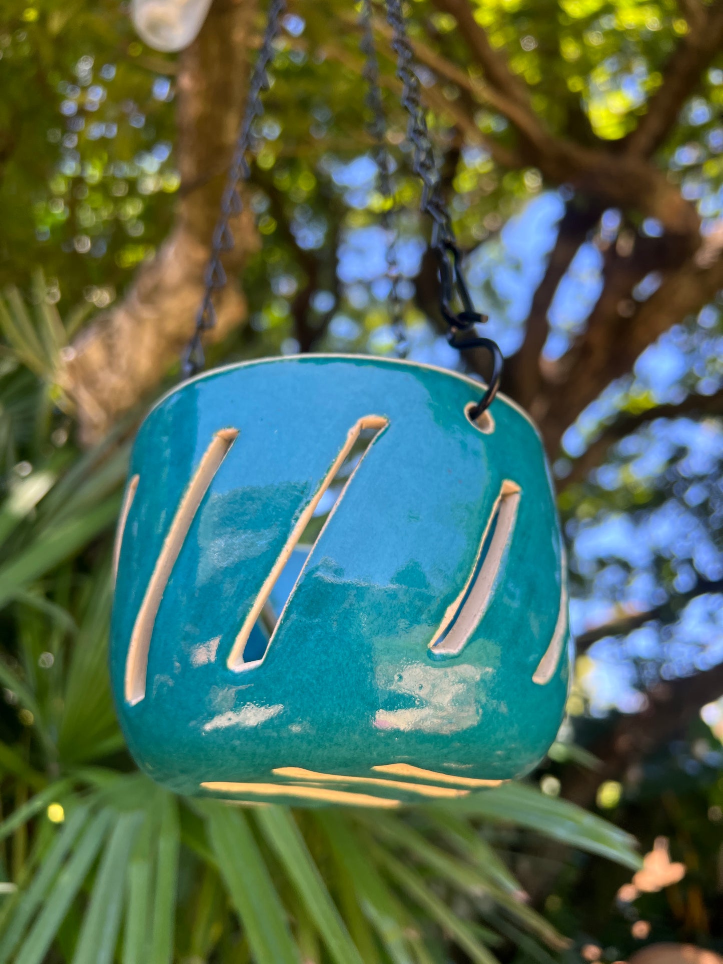 Orchid Hanging Planter