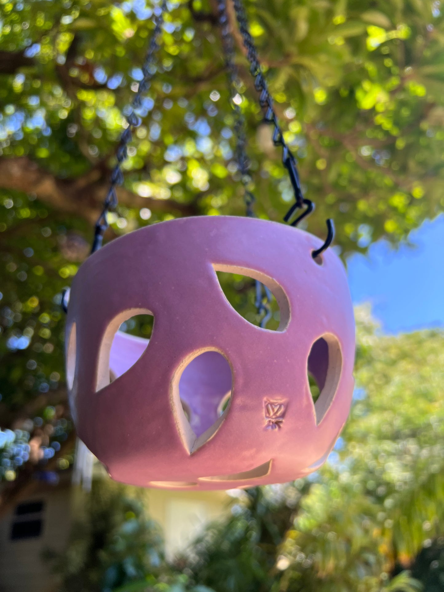 Orchid Hanging Planter- Lavender